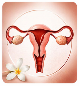 स्त्रीरोग चिकित्सा (Gynaecology)